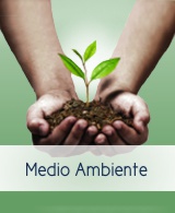 Medio Ambiente